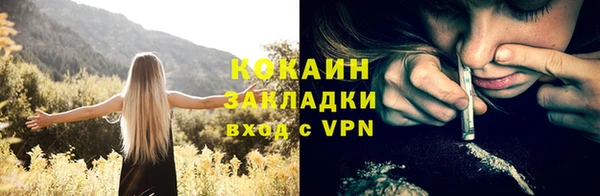 прущие грибы Горнозаводск