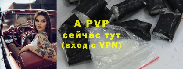 прущие грибы Горнозаводск