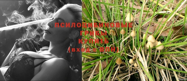 МДПВ Горно-Алтайск