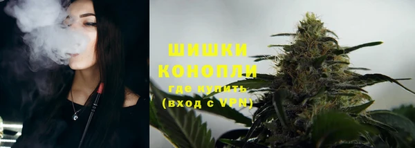 прущие грибы Горнозаводск