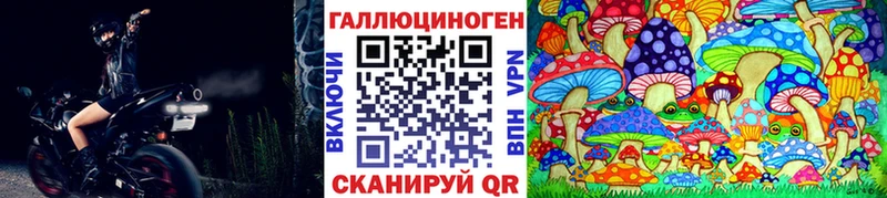 Купить закладки Алупка Галлюциногенные грибы Psilocybe